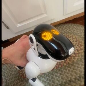 Gizmo robot dog (missing tail) still works